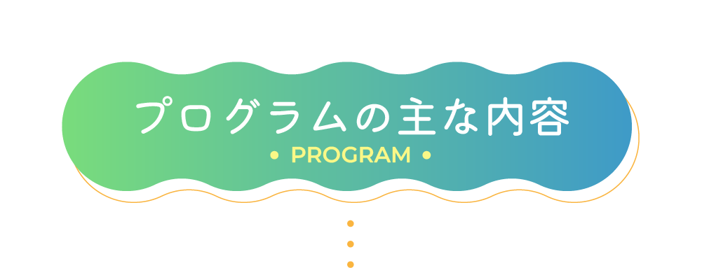 プログラムの主な内容